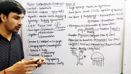 Animal Kingdom (Part-6): Phylum Coelenterata (cnidaria)