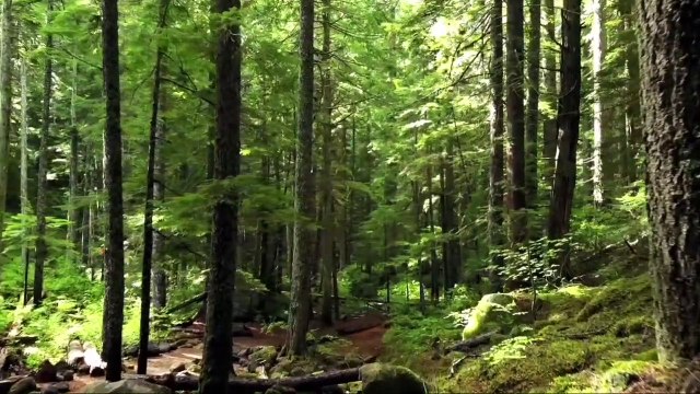 relaxing spa music to sleep and for relaxing and stress relief