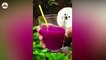 Immunity Boosting Blackberry Juice Recipe | Quick and Healthy Drink
