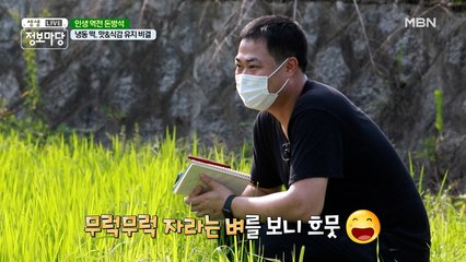 냉동 떡, 맛&식감 유지 비결