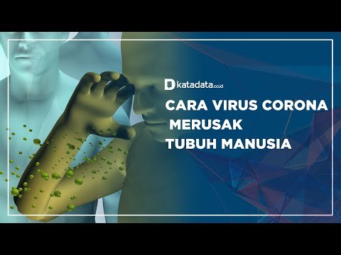 Cara Virus Corona Merusak Tubuh Manusia | Katadata Indonesia