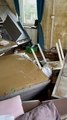 Catarinense mostra rastro de destruição após ter casa atingida por enchente na Alemanha