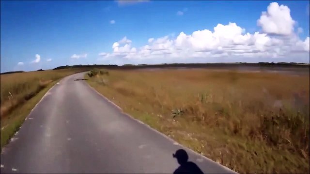 A vélo il croit voir un tronc d'arbre sur la route... C'est en fait un joli crocodile