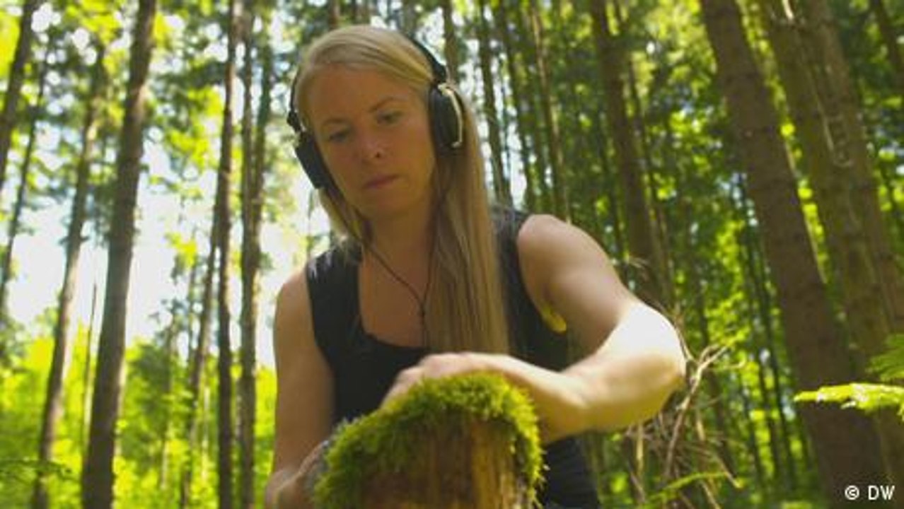 Her Tree: Der Wald als Instrument