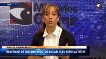 Beneficios de tratamientos con animales en niños autistas
