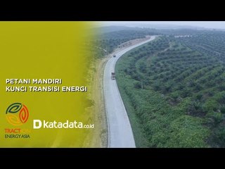 Petani Mandiri Kunci Transisi Energi | Sisi+ by Katadata Indonesia