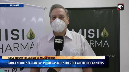 Para enero estarían las primeras muestras del aceite de cannabis