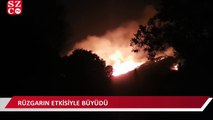 Bodrum'da orman yangını! Müdahale sürüyor