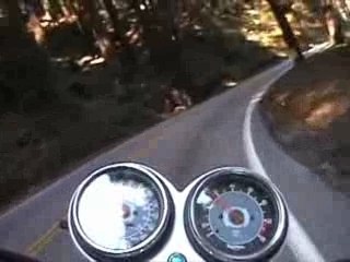 Triumph Bonneville ride through the forest