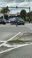 Good Samaritan Stops Traffic for Crossing Ducks