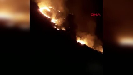 BODRUM'DA ENDİŞE YARATAN YANGIN KONTROL ALTINA ALINDI (2)