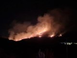 Son dakika haberleri... Bodrum'da otluk ve makilik alanda yangın