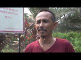 ADRIANUS ADAM TEKOT (PETANI KALIMANTAN BARAT) | Katadata Indonesia