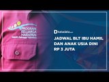 Jadwal BLT Ibu Hamil dan Anak usia Dini Rp 3 Juta | Katadata Indonesia