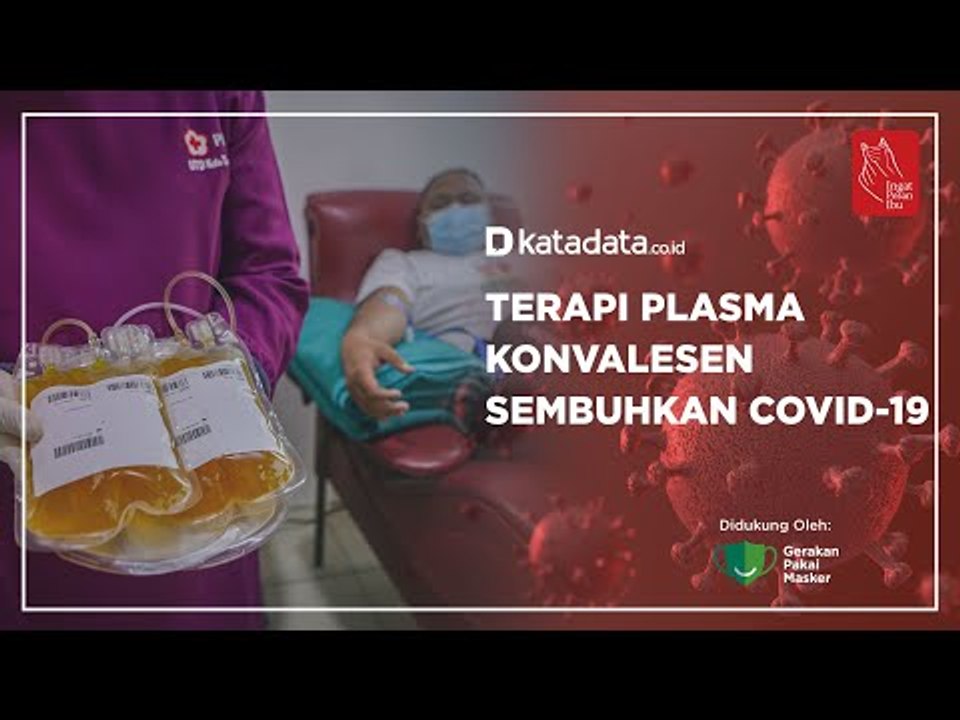 Terapi Plasma Konvalesen Sembuhkan Covid-19 | Katadata Indonesia