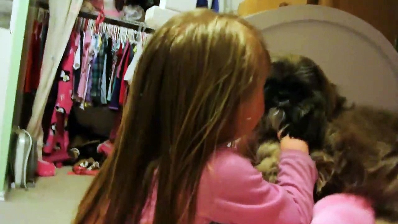 young girl kissing gently a dog