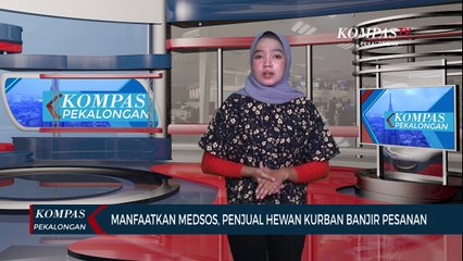 Manfaatkan Media Sosial, Penjual Hewan Kurban Banjir Pesanan