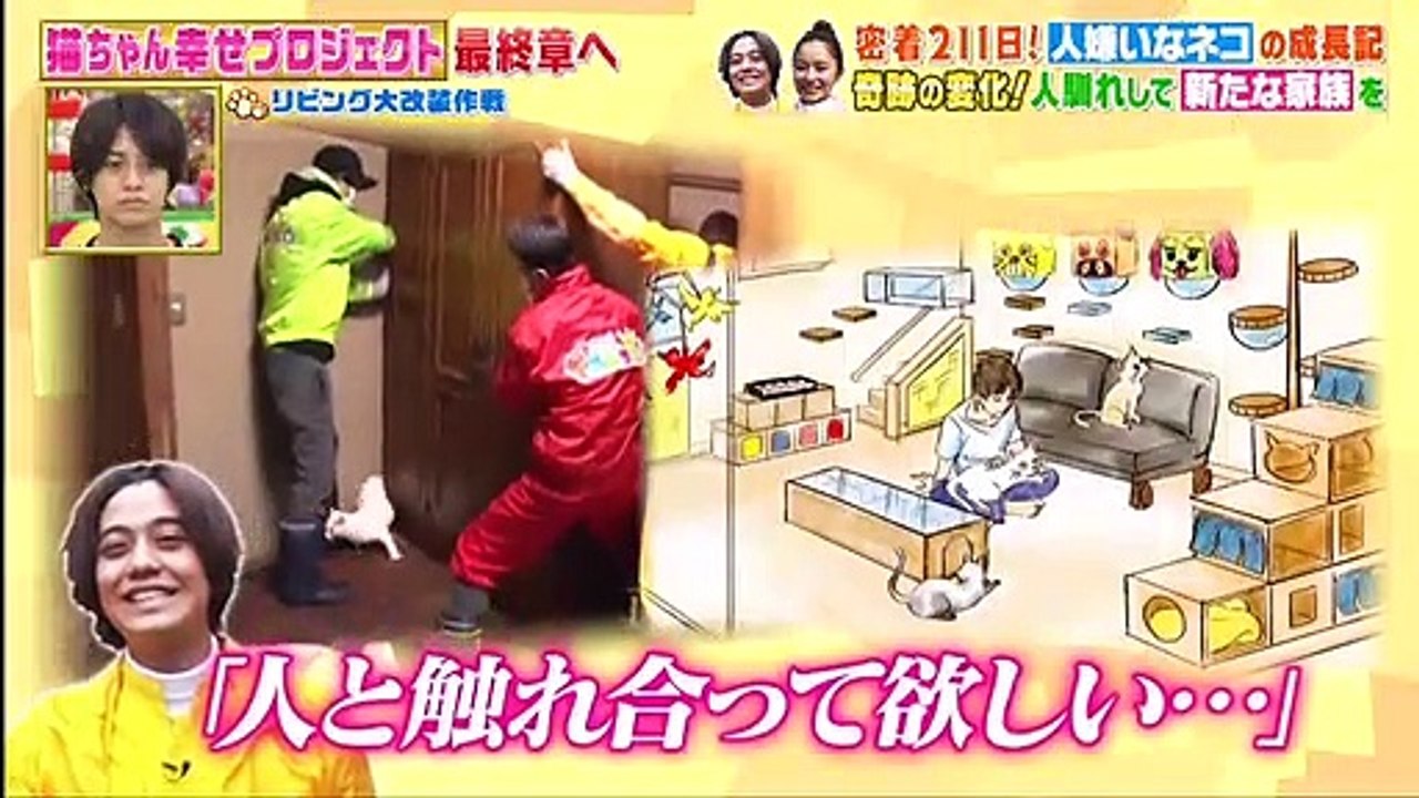 バラエティ 無料視聴 - バラエティー無料視聴 ー     - 坂上どうぶつ王国   動画 9tsu   2021年7月16日