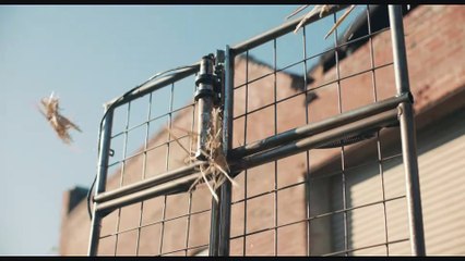 LA PURGA INFINITA Película  Clip - Adela queda atrapada