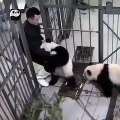 Paçasına sarıldı gitmemesi için elinden geleni yaptı