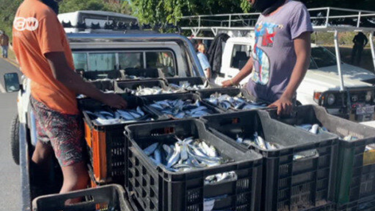 Südafrika: Naturschauspiel vor der Küste