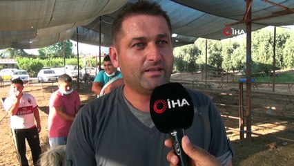 Beslediği keçi ile yaptığı pazarlık gülümsetti