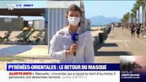 Pyrénées-Orientales: le préfet décide de fermer les bars et restaurants dès 23 heures jusqu'au 2 août
