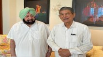 Captain will accept decision of high command- Harish Rawat
