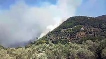 Incendi nell'isola greca di Samos, evacuati i turisti