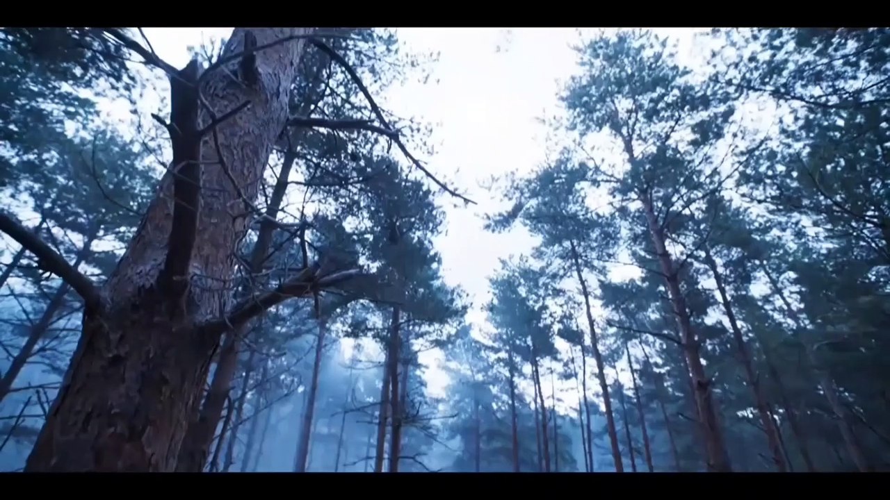 Thợ Săn Quái Vật Mùa 2