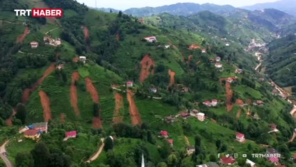 Rize'deki çay bahçelerinde heyelan etkisi