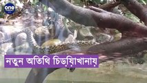 নতুন অতিথি চিড়িয়াখানায় |oneindia Bengali