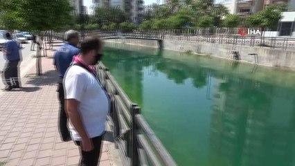 Virajı alamayan otomobil sulama kanalına uçtu