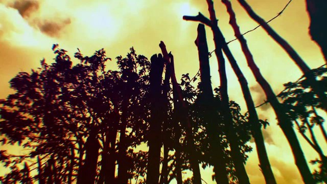 Programa Sabores do Nordeste reúne belezas e delícias gastronômicas da região