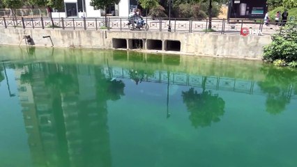 Virajı alamayan otomobil sulama kanalına uçtu