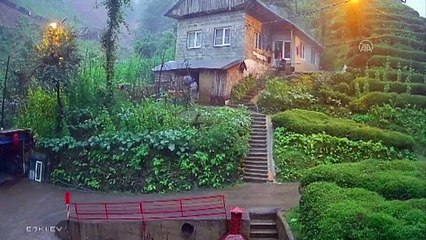 RİZE - Vatandaşların son anda selden kurtulmaları güvenlik kamerasına yansıdı
