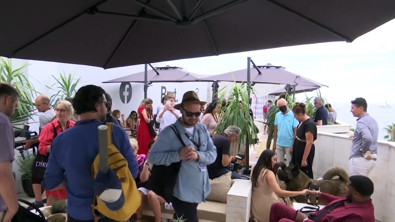 Preisverleihung in Cannes: Tilda Swinton bekommt The Palm Dog Award