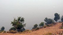 MERSİN - Aydıncık ilçesinde çıkan orman yangını kontrol altına alındı
