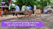 পেট্রোল-ডিজেলের মূল্যবৃদ্ধির প্রতিবাদে এক অভিনব গরুর গাড়ির মিছিল | Oneindia Bengali