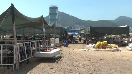 Pazarlarda kurbanlıklar alıcılarını bekliyor