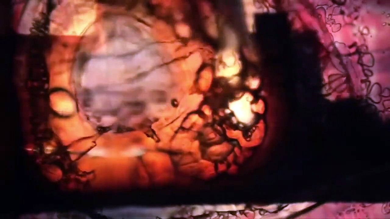 MATADOURO 3 (Teaser Trailer, 2022)