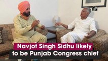 Navjot Singh Sidhu likely to be Punjab Congress chief