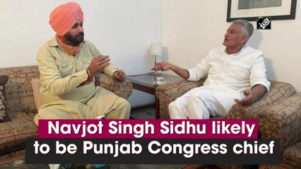 Navjot Singh Sidhu likely to be Punjab Congress chief