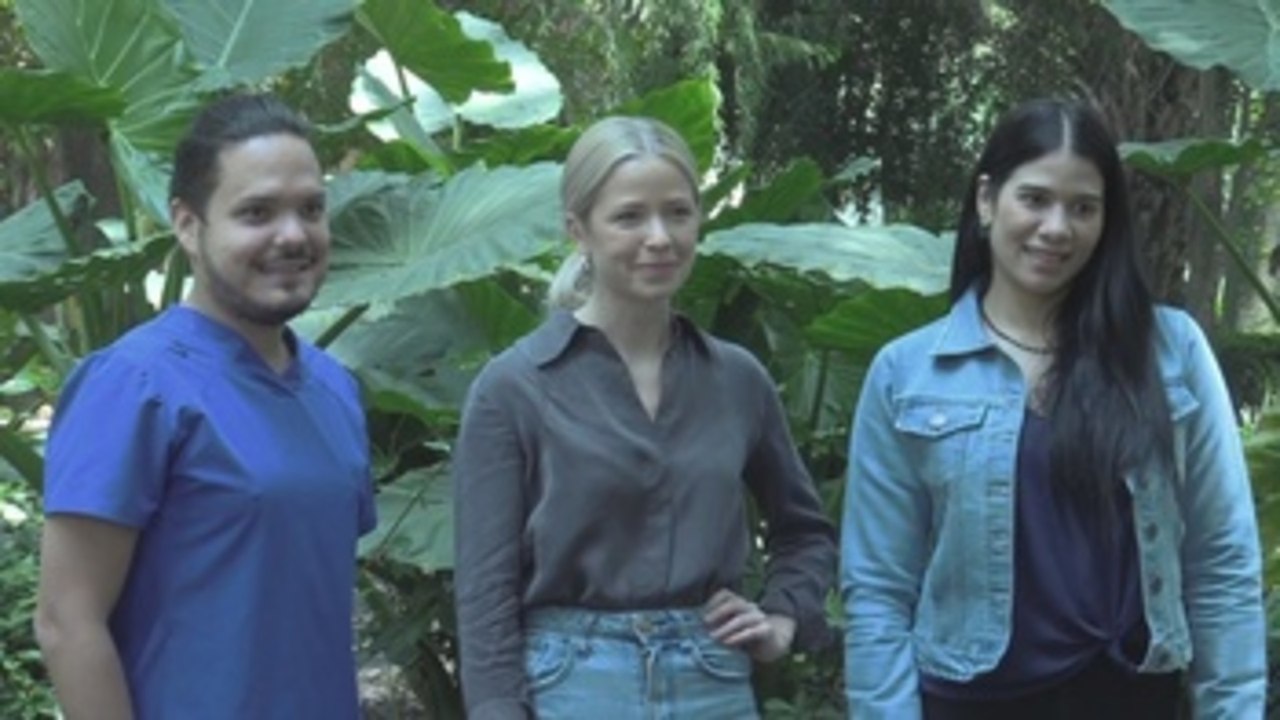 Refugiados se suman a la fuerza laboral mexicana en medio de "ola histórica"