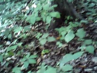 L'autre jour jouer m'aloye 3rd voice