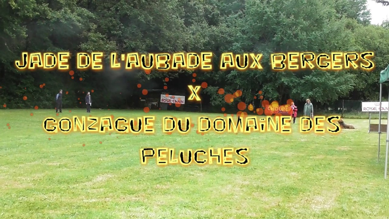 2021 Obéissance :Brevet Orus de l'Aubade aux Bergers