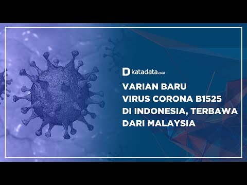 Varian Baru Virus Corona B1525 di Indonesia, Terbawa Dari Malaysia | Katadata Indonesia