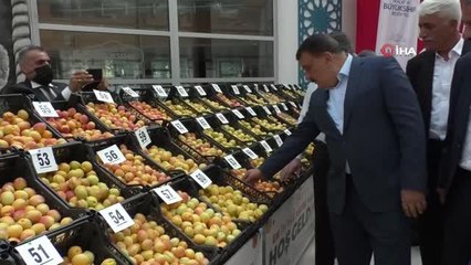 'En iyi yaş kayısı' yarışması yapıldı