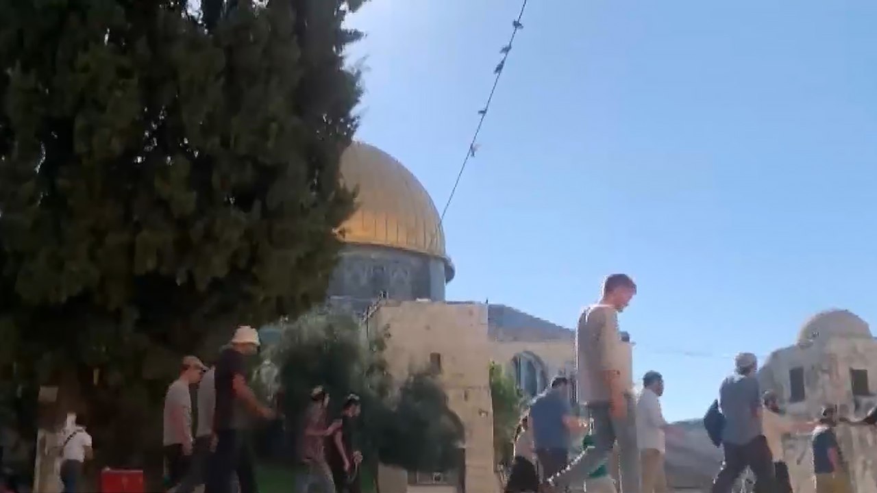اقتحام المستوطنين لباحات المسجد الأقصى حدث الأسبوع الأبرز