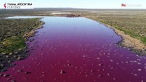 Patagonia, laguna diventa rosa dopo contaminazioni di scarico